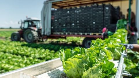 Les avantages des machines d'occasion dans le jardinage et l'agriculture Les avantages des machines d'occasion dans le jardinage et l'agriculture