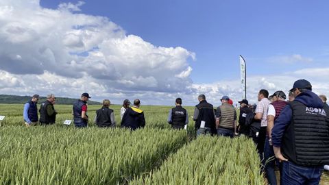 Lors de la journée AgroExpé, mercredi 12 juin à Catenoy (Oise), Agora a présenté aux 400 visiteurs 11 ateliers techniques portant sur le choix des variétés, la gestion des intrants, la fertilité du sol ou encore l'intérêt des biostimulants.