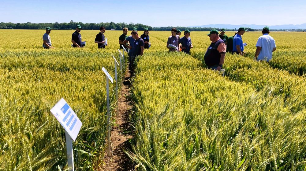 Le réseau Étamines crée un patrimoine de références pour déployer le biocontrôle