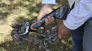 Le sécateur électrique C3X donne une grande liberté de mouvement en l’absence de câble.