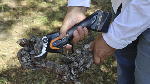 Le sécateur électrique C3X donne une grande liberté de mouvement en l’absence de câble.