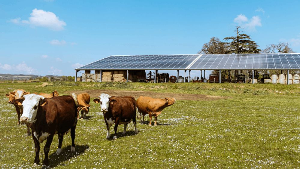 Autoconsommation photovoltaïque : un guide pratique pour développer votre projet