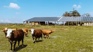 Autoconsommation photovoltaïque : un guide pratique pour développer votre projet