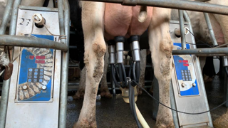 Plus de lait par lactation mais moins au total pour la France, la tendance se poursuit. Plus de lait par lactation mais moins au total pour la France, la tendance se poursuit.