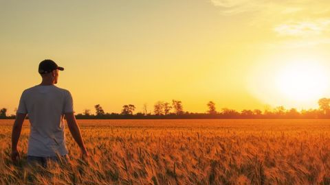 Parmi les leviers de lutte contre le mal-être agricole figurent un meilleur accompagnement pour l'entrée et la sortie du métier