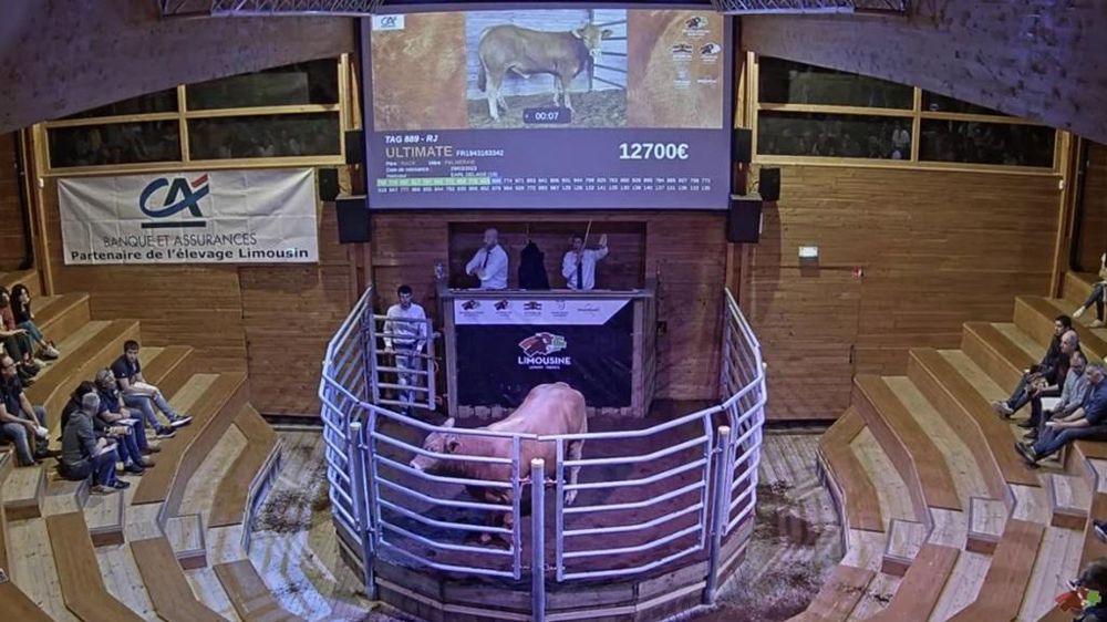 Vente de reproducteurs à la station de Lanaud