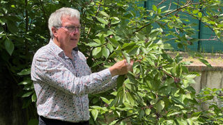 La journée technique de Nancy a permis de découvrir le nouveau guide technique de Plante & Cité sur les aménagements arbustifs et de rendre les discussions concrètes sur le terrain en observant des aménagements riches en arbustes