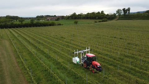 Des flashs d'UV-C à haute énergie pourraient stimuler les défenses naturelles des vignes et vergers. Des flashs d'UV-C à haute énergie pourraient stimuler les défenses naturelles des vignes et vergers.
