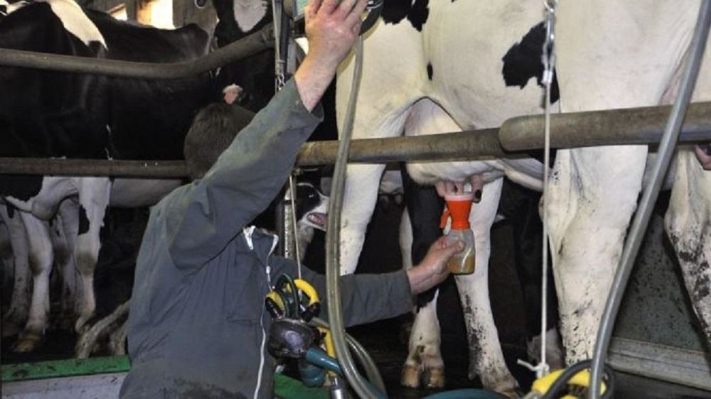 Eleveur ou salarié agricole à la traite Eleveur ou salarié agricole à la traite