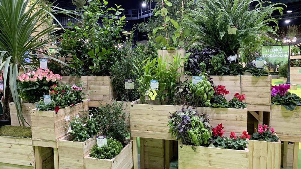 Comme en 2022, le Cœur végétal mettra à l’honneur la richesse et le potentiel des plantes d’ornement et des savoir-faire de toute une filière.