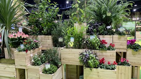 Comme en 2022, le Cœur végétal mettra à l’honneur la richesse et le potentiel des plantes d’ornement et des savoir-faire de toute une filière. Comme en 2022, le Cœur végétal mettra à l’honneur la richesse et le potentiel des plantes d’ornement et des savoir-faire de toute une filière.