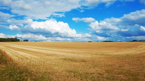 Et si vous vous couvriez en glyphosate pour les 3 années à venir ? Et si vous vous couvriez en glyphosate pour les 3 années à venir ?