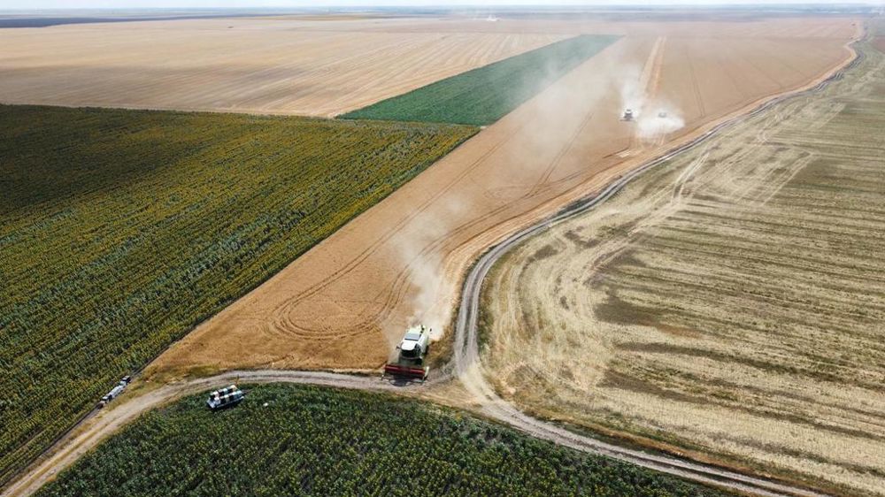 Moisson 2024 du blé en Roumanie