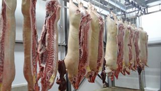 En 2023, en Chine, presque 58 millions de tonnes-équivalent carcasse de viande porcine ont été produites. En 2023, en Chine, presque 58 millions de tonnes-équivalent carcasse de viande porcine ont été produites.
