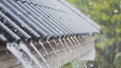 La pluie a été encore omniprésente sur le mois de juin 2024. La pluie a été encore omniprésente sur le mois de juin 2024.