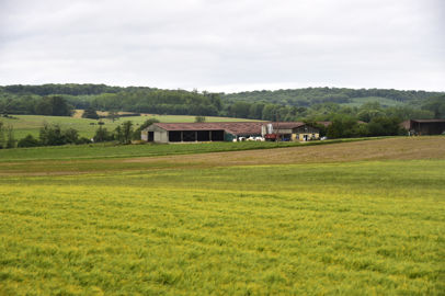 Pâtures à proximité de l'exploitation laitière Pâtures à proximité de l'exploitation laitière