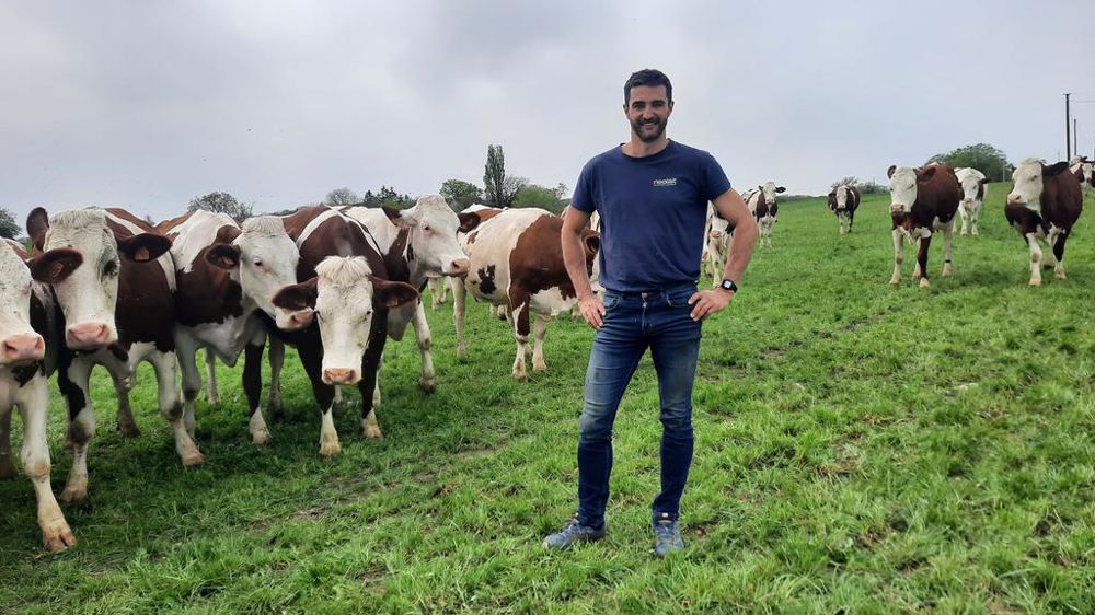 Sebastien legain et ses montbeliardes