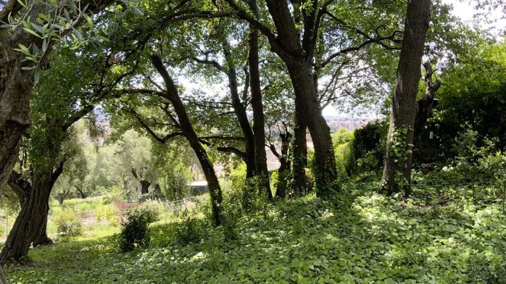 La ville de Cagnes-sur-mer (06) obtient la labellisation du Domaine des Colettes. C’est une première pour cette commune qui ne disposait jusqu’ici d’aucun site labellisé.