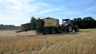 Les presses à balles cubiques haute densité offrent un débit de chantier très important, mais sont trois fois plus chères à l’achat. Ces chantiers ne peuvent donc être réalisés que par des Cuma ou ETA.