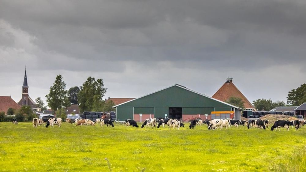Ferme laitière néerlandaise Ferme laitière néerlandaise