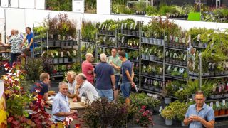 Plantarium Groen-Direkt, les 20 et 21 août, près de Boskoop, aux Pays-Bas, s'intéressera autant à l'offre saisonnière qu'aux nouveautés et à un sujet d'actualité : la certification. Plantarium Groen-Direkt, les 20 et 21 août, près de Boskoop, aux Pays-Bas, s'intéressera autant à l'offre saisonnière qu'aux nouveautés et à un sujet d'actualité : la certification.
