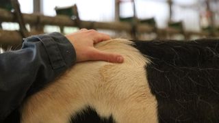 La reconnaissance de la sensibilité des animaux a changé notre rapport à eux. La reconnaissance de la sensibilité des animaux a changé notre rapport à eux.