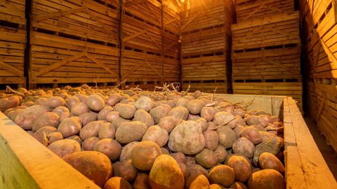 L’OAD Optigerm sera opérationnel pour la campagne de stockage 2024-2025. L’OAD Optigerm sera opérationnel pour la campagne de stockage 2024-2025.