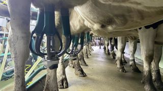 Plus léger, le gobelet GS de GEA accueille un manchon de plus petit diamètre.