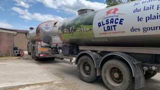 La coopérative Alsace Lait collecte 150 Ml en filière non OGM. La coopérative Alsace Lait collecte 150 Ml en filière non OGM.