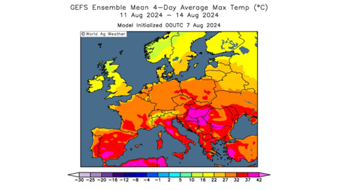 Le maïs dans le Sud de la France risque de subir des températures trop élevées.