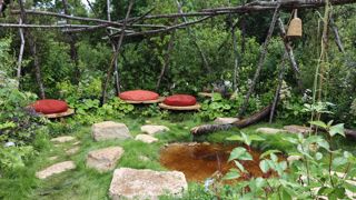 « Les délices du Périgord », de Franck Serra.