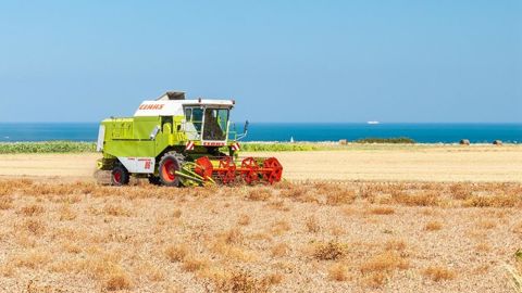 Terres Inovia a regroupé dans un dossier technique les leviers agronomiques permettant de limiter la pression maladie et de sauvegarder le potentiel des pois d'hiver.