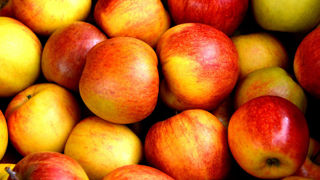La production française de pommes en 2024 serait inférieure de 4 % à celle de 2023. La production française de pommes en 2024 serait inférieure de 4 % à celle de 2023.