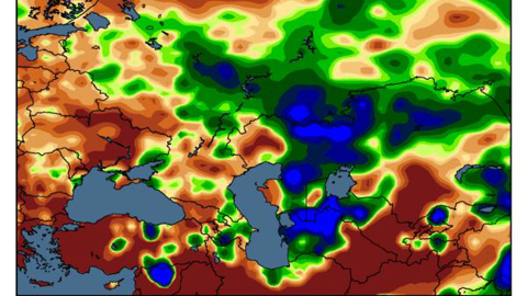 Les blés de printemps subissent d'importants excès de pluies en Russie.