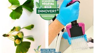 Service de sexage de Ginkgo par analyse d’ADN - Innovert d’or. Service de sexage de Ginkgo par analyse d’ADN - Innovert d’or.