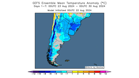 Le blé argentin subit des températures trop basses.