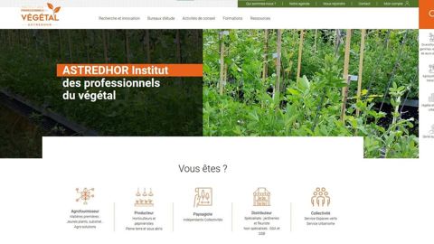 L'accueil épuré du nouveau site propose des niveaux d'entrée clairs et efficaces. L'accueil épuré du nouveau site propose des niveaux d'entrée clairs et efficaces.