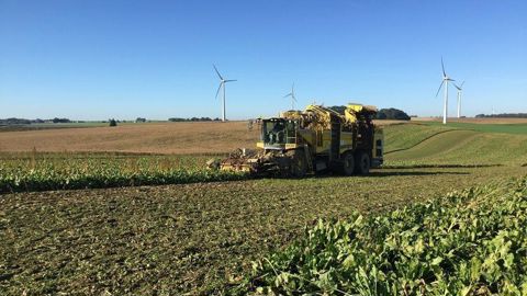 Le sec sera-t-il de la partie pour les travaux d'automne cette année ? Le sec sera-t-il de la partie pour les travaux d'automne cette année ?