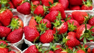 Les deux pics de production observés en avril puis en juin ont pu être absorbés par les consommateurs, selon l'AOPn Fraises Framboises de France. Les deux pics de production observés en avril puis en juin ont pu être absorbés par les consommateurs, selon l'AOPn Fraises Framboises de France.
