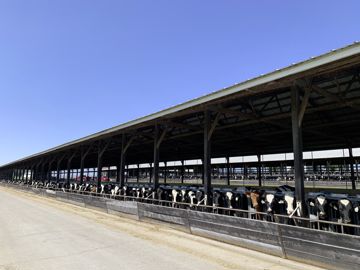 Bâtiment d'une ferme laitière du Wisconsin USA