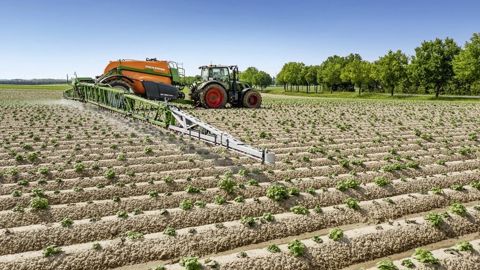 L’emploi de variété robuste pourrait réduire les doses de fongicide de 50 à 75 %.