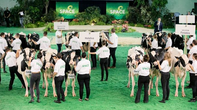 Les concours bovins du Space sont tous maintenus.