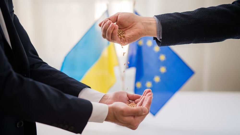 Une alliance entre l'Ukraine et l'UE permettrait de rivaliser avec la Russie et se repositionner sur les marchés agricoles mondiaux, notamment céréaliers, explique Jean-Jacques René.