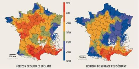 Date de semis de prairie d'été