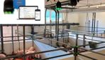 Un signal lumineux au-dessus de la case prévient d'un éventuel problème sanitaire des animaux.