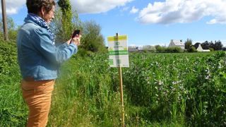 Les panneaux sont posés en bordure de champ pour permettre aux randonneurs d’identifier les cultures.
