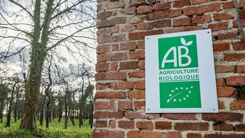 La Fnab demande que l’aide à la conversion en agriculture biologique soit instruite en même temps que les aides du premier pilier de la Pac.