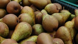 L’Association nationale pommes poires (ANPP) souhaite voir uniquement des poires d'origine française dans les rayons de septembre à décembre. L’Association nationale pommes poires (ANPP) souhaite voir uniquement des poires d'origine française dans les rayons de septembre à décembre.