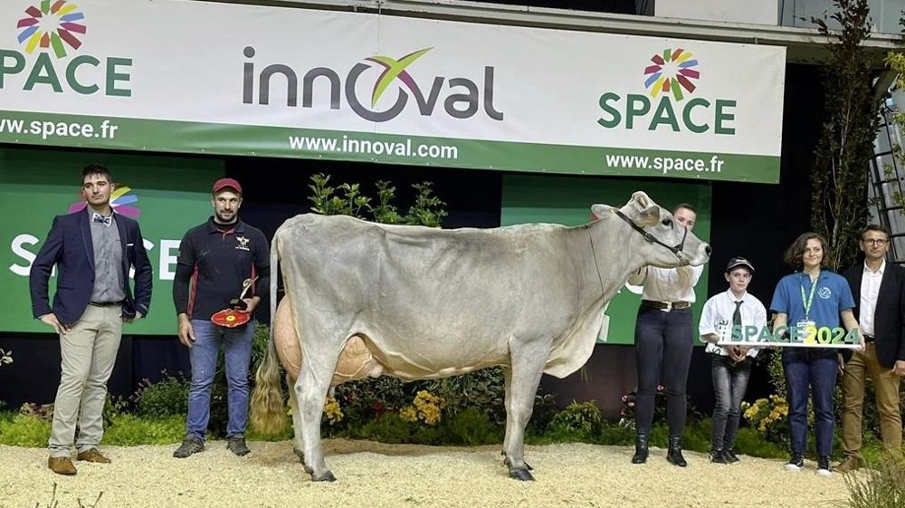 Hutile de la Saudraie au concours Brune du Space 2024