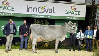 Hutile de la Saudraie avait déjà remporté le titre de grande championne du concours Brune au Space 2022. Hutile de la Saudraie avait déjà remporté le titre de grande championne du concours Brune au Space 2022.